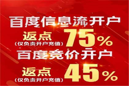 竞价广告的投放策略：XX企业成功案例解析